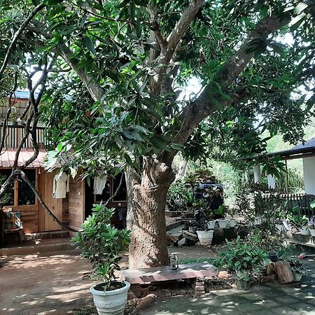 Serenity House In 담불라 외부 사진