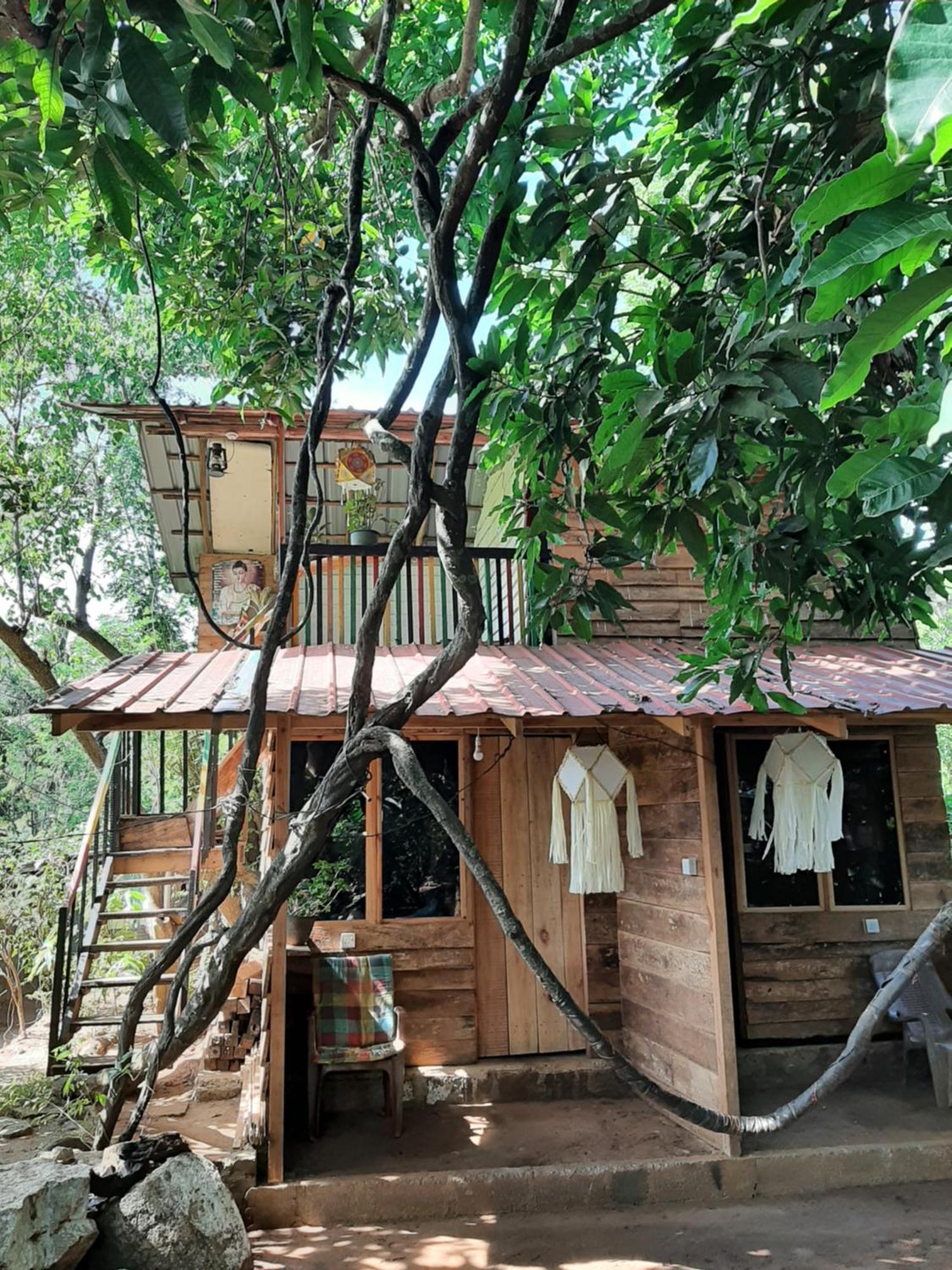 Serenity House In 담불라 외부 사진
