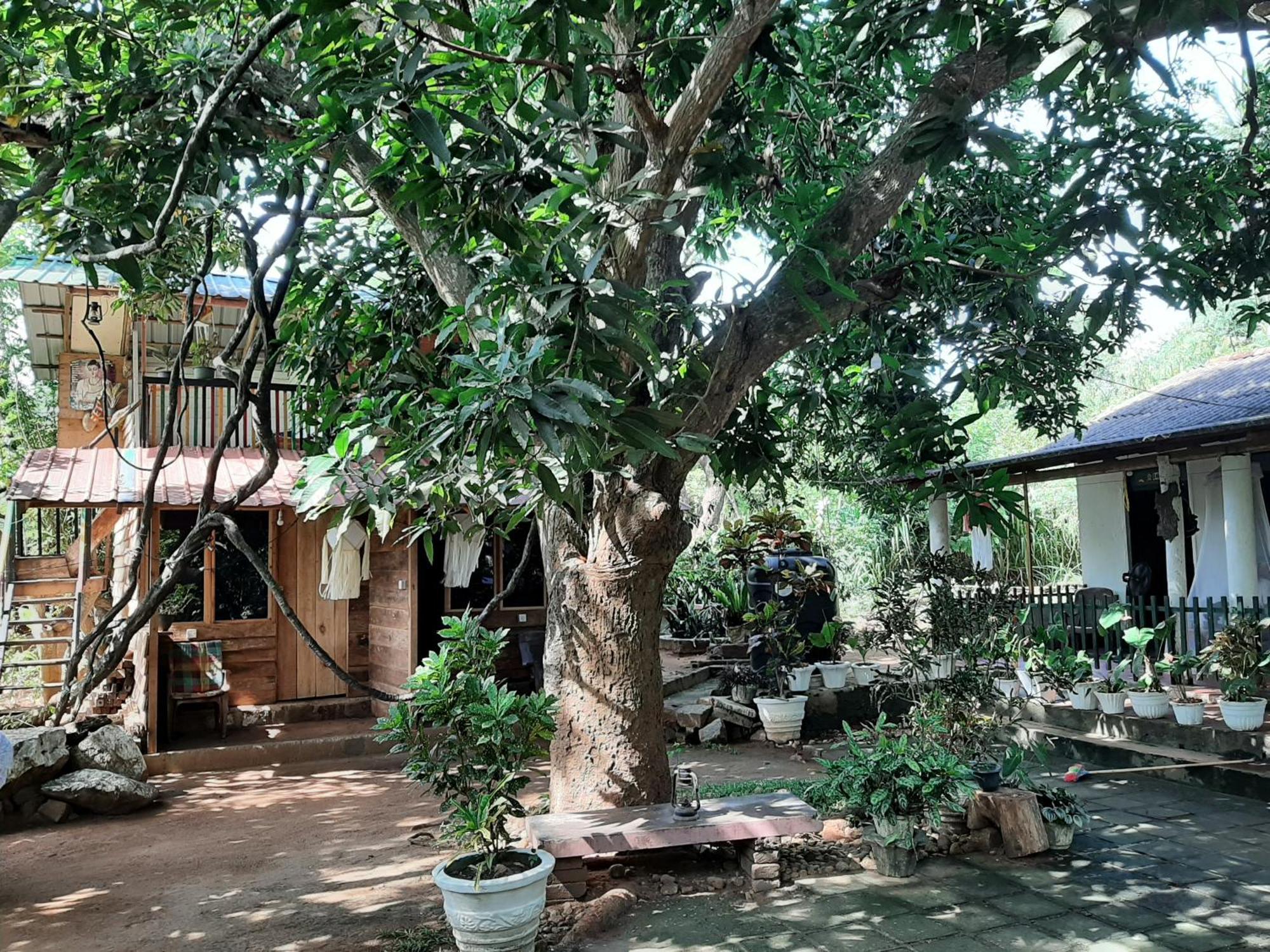 Serenity House In 담불라 외부 사진